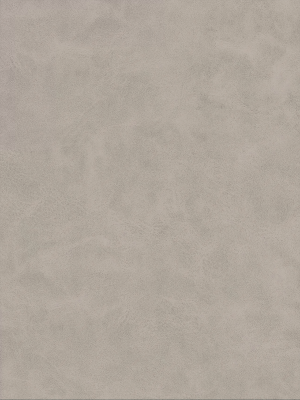 ModernFine Grain Leather