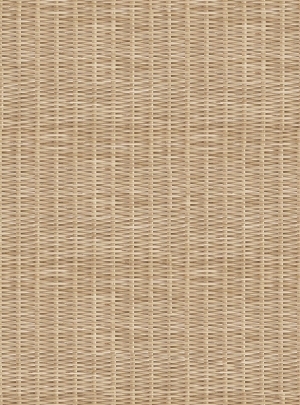 ModernRattan Texture