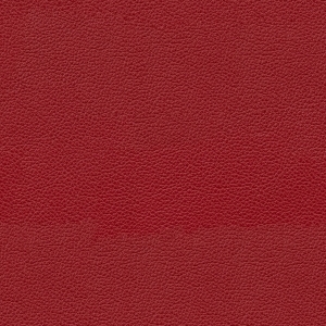 ModernFine Grain Leather