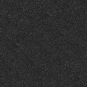 ModernFine Grain Leather