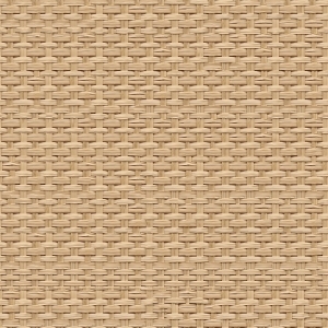 ModernRattan Texture