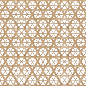 ModernRattan Texture