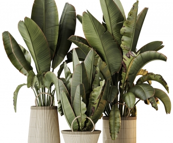 Modern Ground Green Plant Potted Plants-ID:259219888