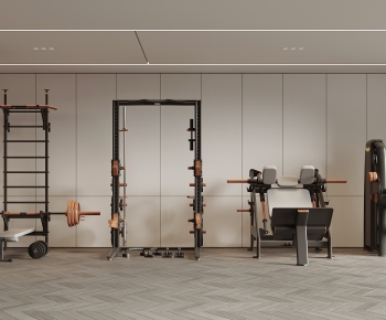 Modern Home Fitness Room-ID:699301969