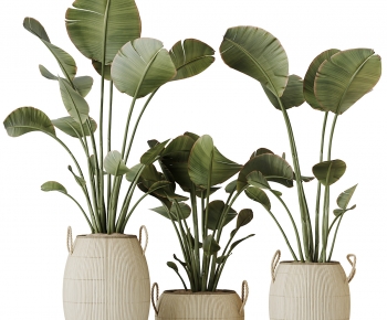 Modern Ground Green Plant Potted Plants-ID:157016996