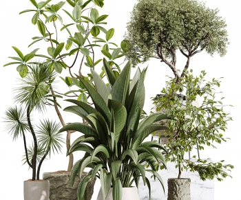 Modern Ground Green Plant Potted Plants-ID:372044099