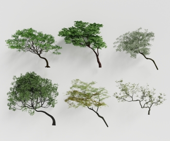 Modern Tree-ID:841618068