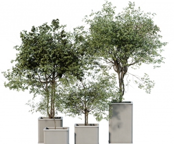 Modern Ground Green Plant Potted Plants-ID:699290994