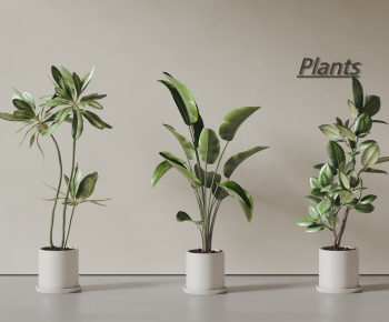 Modern Ground Green Plant Potted Plants-ID:169373041