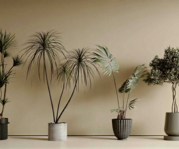 Modern Ground Green Plant Potted Plants-ID:878151899