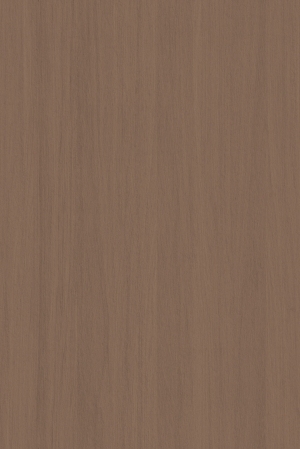 ModernWood Texture
