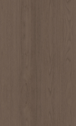 ModernWood Texture