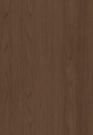 ModernWood Texture