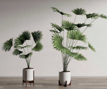Modern Ground Green Plant Potted Plants-ID:207690008