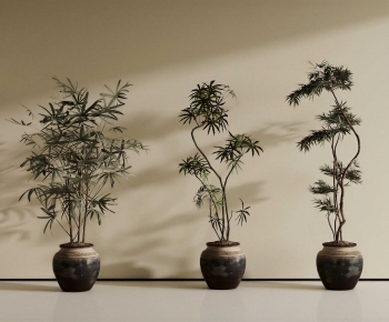 Wabi-sabi Style Ground Green Plant Potted Plants-ID:664917952