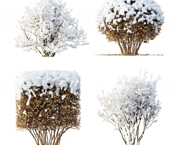 Modern Shrubbery-ID:613044981