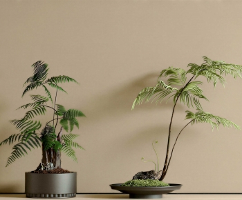 New Chinese Style Bonsai-ID:508891115