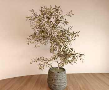 Modern Ground Green Plant Potted Plants-ID:244220978