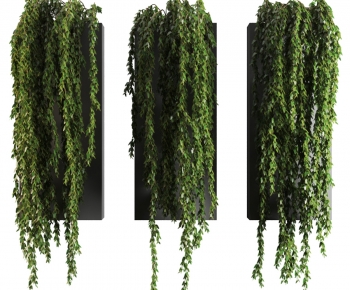 Modern Chlorophytum Comosum-ID:635659718