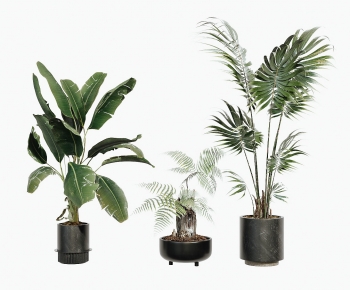 Modern Ground Green Plant Potted Plants-ID:416121014