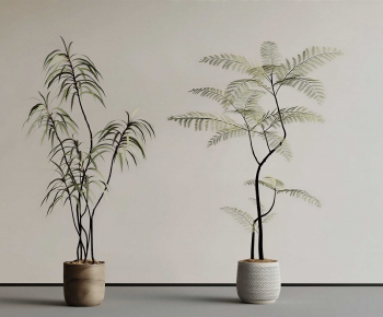 Modern Ground Green Plant Potted Plants-ID:285615928