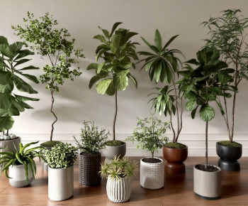 Modern Ground Green Plant Potted Plants-ID:640969049
