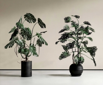 Modern Ground Green Plant Potted Plants-ID:791876089
