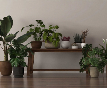 Modern Ground Green Plant Potted Plants-ID:437103996