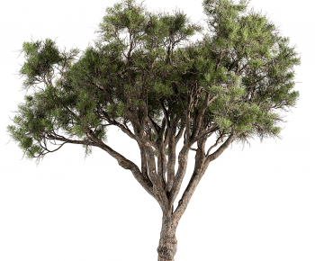 Modern Tree-ID:710241089