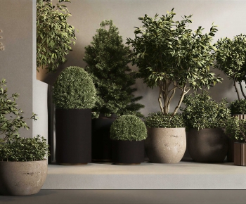 Modern Ground Green Plant Potted Plants-ID:142729041