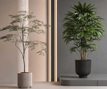 Modern Ground Green Plant Potted Plants-ID:696307903