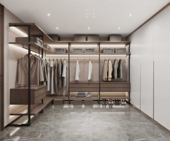 Modern Clothes Storage Area-ID:899624113
