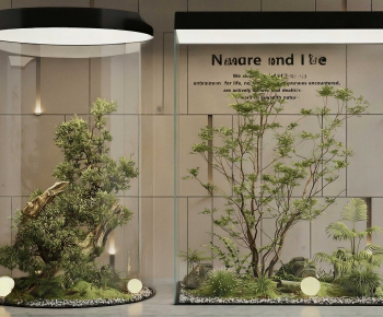 Modern Plant Landscaping-ID:123630057