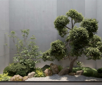 Modern Plant Landscaping-ID:795145035