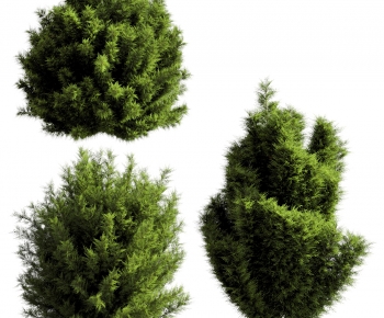 Modern Shrubbery-ID:905632976