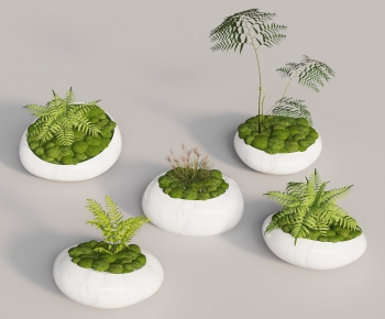 Modern Bonsai-ID:643831013