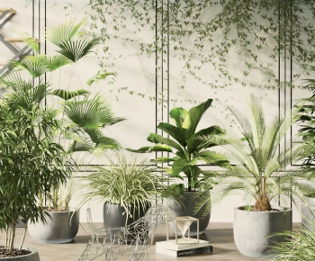 Modern Ground Green Plant Potted Plants-ID:391942981