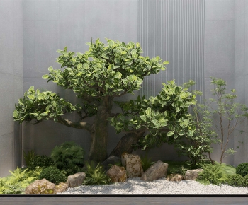 Modern Plant Landscaping-ID:708118923