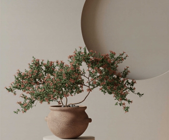 Wabi-sabi Style Potted Green Plant-ID:645407928