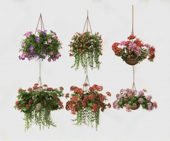 Modern Chlorophytum Comosum-ID:194345007