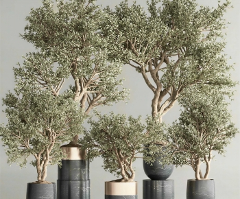 Modern Ground Green Plant Potted Plants-ID:100529221