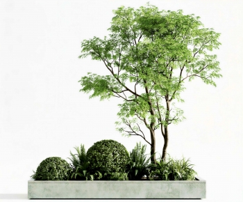 Modern Tree Pool-ID:941641096