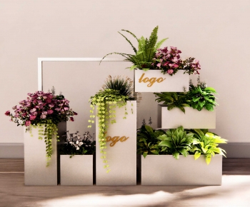 Modern Flower Bed, Flower Bowl, Flower Box-ID:133598095