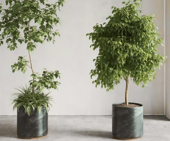 Modern Ground Green Plant Potted Plants-ID:564822919