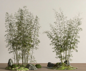 Modern Plant Landscaping-ID:603349251