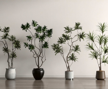 Wabi-sabi Style Ground Green Plant Potted Plants-ID:353888033