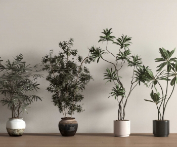 Modern Ground Green Plant Potted Plants-ID:248749338