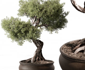 New Chinese Style Bonsai-ID:609376916