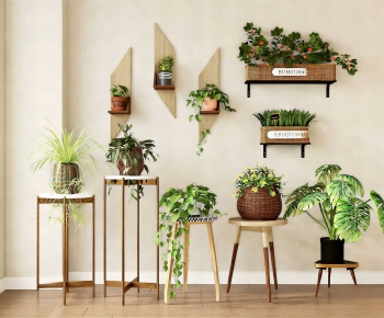 Modern Potted Green Plant-ID:915638924