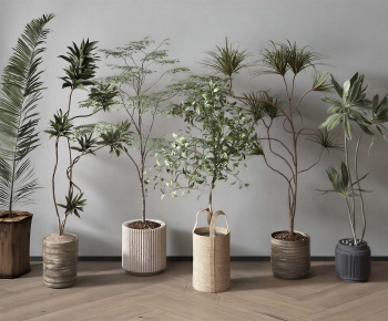 Modern Ground Green Plant Potted Plants-ID:817395936